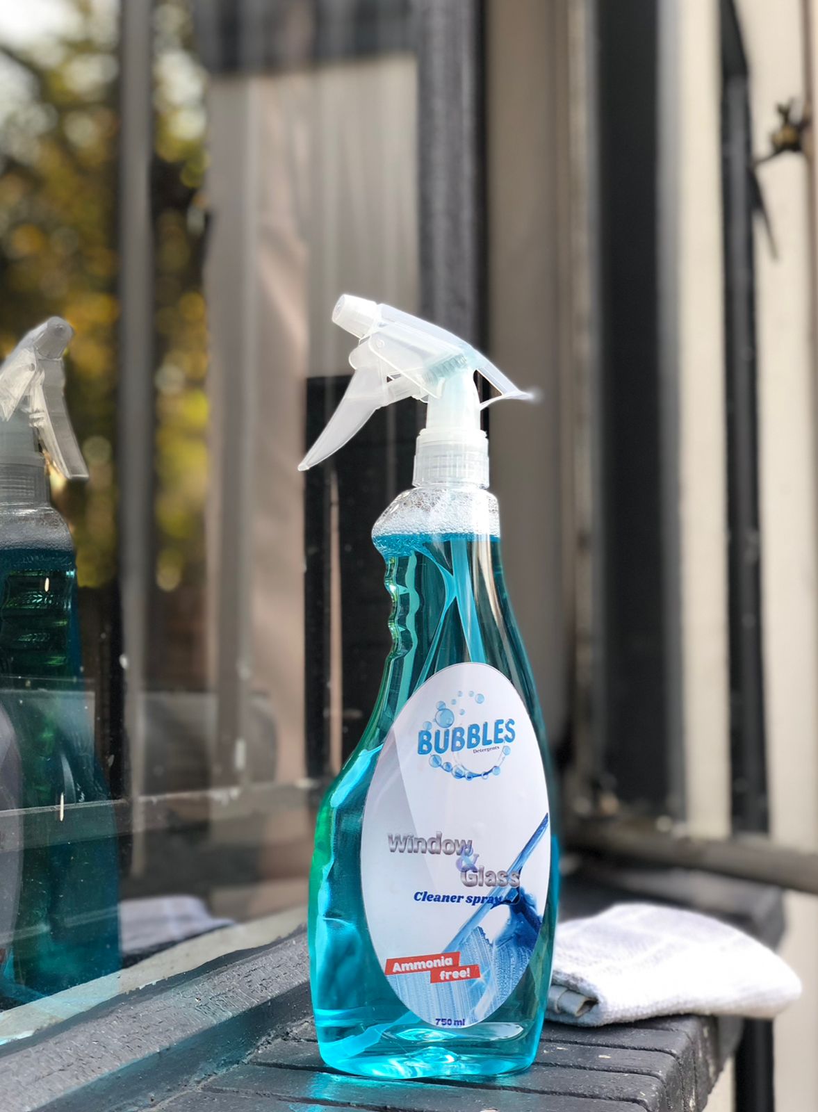 Window & Glass Cleaner Spray